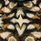 1 Yard Stretch Cotton Sateen Black and Beige Abstract From the Earth Print Rockland Collection